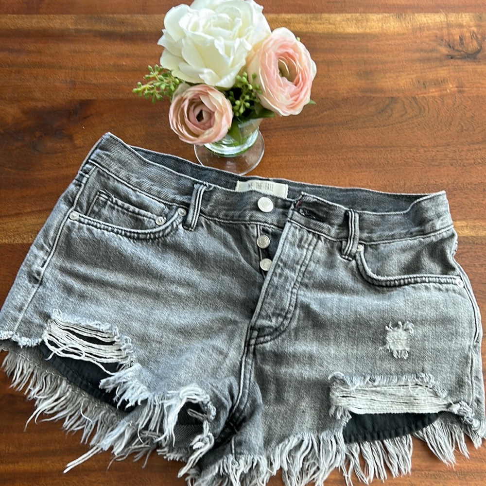 Free People Distressed Shorts